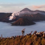 Suasana Kampung Quran Bromo yang diselimuti kabut tebal lereng Tengger